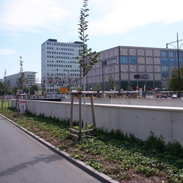 Straßenraumbegrünung und Alleebaumpflanzung Alexanderplatz