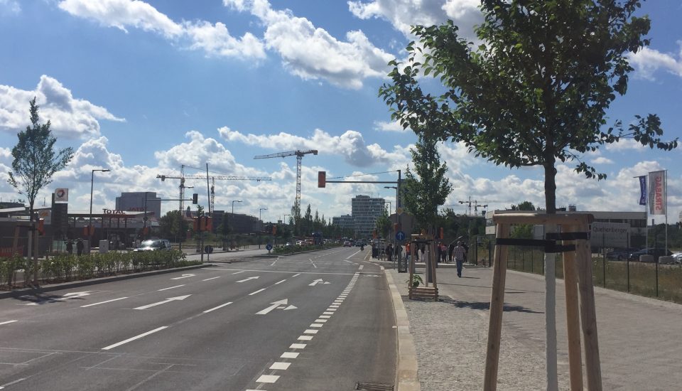 Straßenraumbegrünung und Alleebaumpflanzung Heidestraße